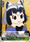  KMN/W51-113 PR カフェでゆっくり アライグマ 