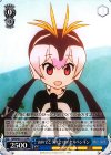  KMN/W51-116 PR おめでとうの会 ロイヤルペンギン 