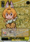 KMN/W51-001SP SP なんでも気になる サーバル(サイン入り)