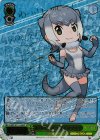  KMN/W51-038SP SP 遊びの天才 コツメカワウソ(サイン入り) 