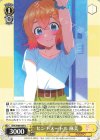  KNK/W86-004 R センチメートル 麻美 