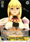 KS/W49-015 U “盾代わりにこき使って欲しいっ!!”ダクネス
