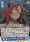  KS/W76-080 R “合成と改造の果て”シルビア 