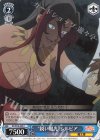  KS/W76-095 C “鋭い眼光”シルビア 