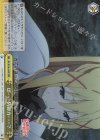  KS/W76-025R RRR ぼ……防御力……? 