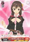 KS/W75-049 U 紅魔族族長の娘 ゆんゆん