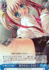 LB/W02-096 C 鮮やかなしまぱん