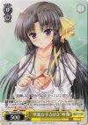 LB/W06-012 C “華麗な手さばき”唯湖