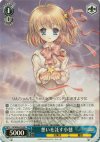 LB/W06-076 RR 想いを託す小毬