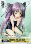 LB/W06-108 PR 水着の佐々美