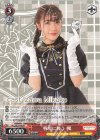 ALL/SE37-06 N 戦場に舞う楓