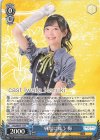 ALL/SE37-11 N 戦場に舞う梅