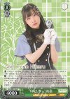 ALL/SE37-16 N “旬なリリィ”雨嘉