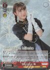 ALL/SE37-05S SR 密かな企み楓