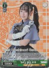 ALL/SE37-14S SR 強い正義感神琳
