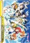  LL/W24-111 TD Wonderful Rush 