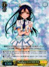  LL/W24-102R RRR “Wonderful Rush”園田 海未 