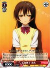  LL/W24-056 R 大和撫子 海未 