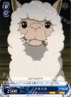  LL/W24-088 C アルパカ 