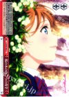  LL/W34-066 CC 桜の木の向こうの青空 