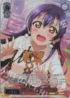  LL/WE39-022FP FP 月夜の祈り 園田 海未(箔押し入り) 