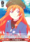 LL/WE24-30 C 答えを見つけて