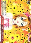 LL/WE24-31a CR 僕たちはひとつの光