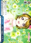 LL/WE24-44c CR 僕たちはひとつの光