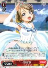  LSS/W45-039 R 渡辺 曜 