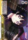  LSS/W53-033 CC 見えない力 