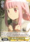 MR/W80-017 C 一緒に帰ろう! いろは