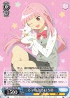 MR/W80-078 RR じゃれ合ういろは