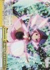 MR/W80-025R RRR 妹の病気を治すために