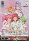 MDE/SE45-29DCR DCR 未来は私たちのためにある ワルキューレ(箔押し入り)