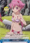 SK/WE05-27 C 小川で遊ぼう!