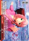  PD/SE32-41 CC 紅一葉 