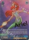 MRd/S111-078SP SP “Royal Champion of Atlantica”アリエル(箔押し入り)