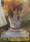  NIK/S117-022S SR 光るアクセサリー ナガ(エラッタ前) 