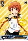  NK/W30-T17 TD 橘 万里花 