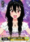 NK/W30-004 R 大変装!? 誠士郎 