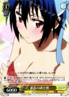 NK/W30-006 R 水着の誠士郎