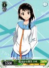 NK/W30-043 C 穏やかな微笑 小咲