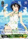 NK/W30-P09 PR 真夏のビーチ 誠士郎