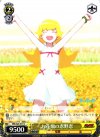 NM/S24-011 U お花畑の忍野忍