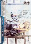 NS/W04-100 CC 限定解除