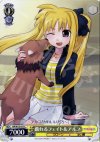  NA/W12-017 C 戯れるフェイト&アルフ 