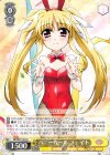  ND/W67-003 R バニーガール フェイト 