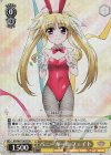  ND/W67-003S SR バニーガール フェイト 