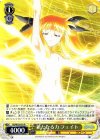  N2/W32-031 R 新たなる力 フェイト 