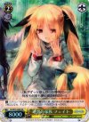 N2/W25-008S SR 理想の家族 フェイト